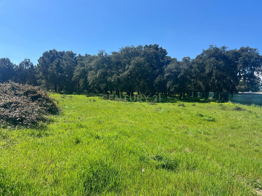  Terreno Urbano para Construção na Quinta do Quadrado em Alhos Vedros - Image 6